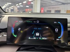BYD Song Pro New Energy 2022 DM-i 110km Flagship - ფოტო 19