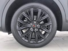 FAW Red Flag HS5 2.0T Two-Wheel Drive 600,000 Units Anniversary Edition - ფოტო 17