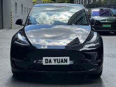 Tesla Model Y Long Range All-Wheel Drive - ფოტო 2