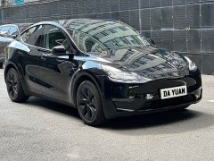 Tesla Model Y Long Range All-Wheel Drive - ფოტო 3