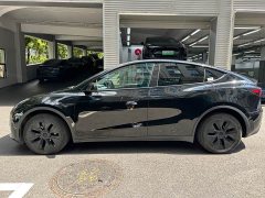 Tesla Model Y Long Range All-Wheel Drive - ფოტო 5