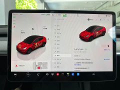 Tesla Model Y Long Range All-Wheel Drive - ფოტო 9