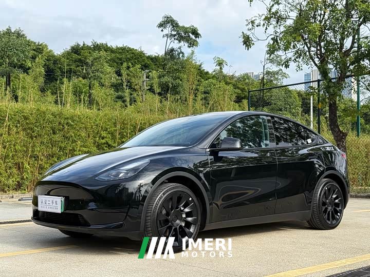 Tesla Model Y Rear-Wheel Drive