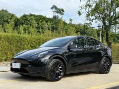 Tesla Model Y Rear-Wheel Drive - ფოტო 1