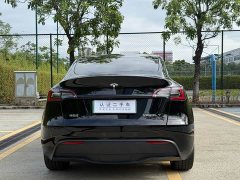 Tesla Model Y Rear-Wheel Drive - ფოტო 10