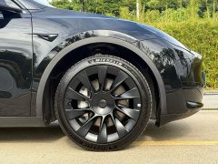 Tesla Model Y Rear-Wheel Drive - ფოტო 14