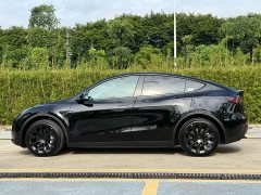 Tesla Model Y Rear-Wheel Drive - ფოტო 15