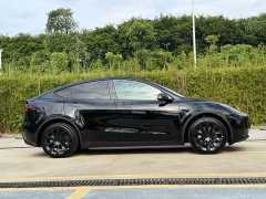 Tesla Model Y Rear-Wheel Drive - ფოტო 16