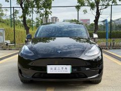 Tesla Model Y Rear-Wheel Drive - ფოტო 2