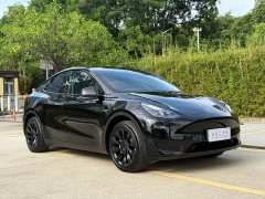 Tesla Model Y Rear-Wheel Drive - ფოტო 3