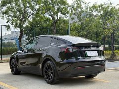 Tesla Model Y Rear-Wheel Drive - ფოტო 9