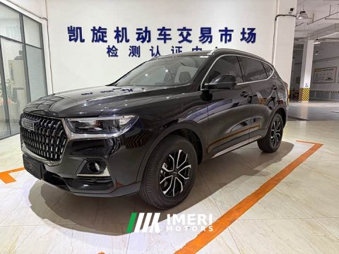 2023 Haval H6 National Trend Edition 1.5T Automatic Urban Version - ავტომობილი ჩინეთიდან