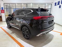 Haval H6 National Trend Edition 1.5T Automatic Urban Version - ფოტო 6