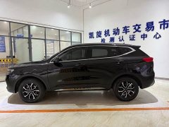 Haval H6 National Trend Edition 1.5T Automatic Urban Version - ფოტო 7