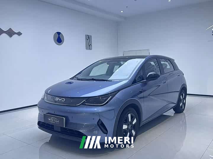 BYD Dolphin Smart Drive 410km Fashion Edition - ავტომობილი ჩინეთიდან