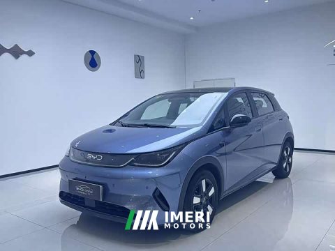 2025 BYD Dolphin Smart Drive 410km Fashion Edition - ავტომობილი ჩინეთიდან