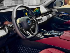 BMW 5 Series 530Li Luxury M Sport Package - ფოტო 10