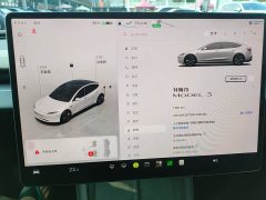 Tesla Model 3 Rear-Wheel Drive - ფოტო 15