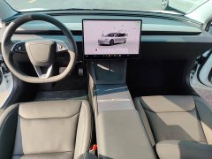Tesla Model 3 Rear-Wheel Drive - ფოტო 8