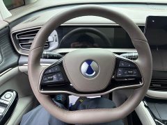 Denza BYD Denza D9 2022 DM-i 970 AWD Premium Edition - ფოტო 13