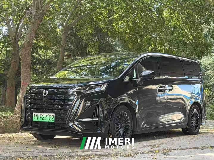 Denza D9 DM-i 970 AWD Premium Edition