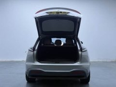 Nio Lerado L60 2024 60kWh Rear-Wheel Drive - ფოტო 16