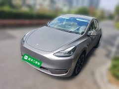 Tesla Model Y Standard Range RWD - ფოტო 1