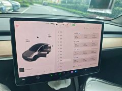 Tesla Model Y Standard Range RWD - ფოტო 7
