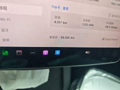 Tesla Model Y Standard Range RWD - ფოტო 8