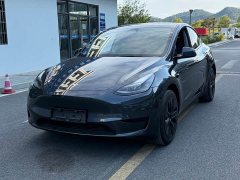 Tesla Model Y Rear-Wheel Drive - ფოტო 1