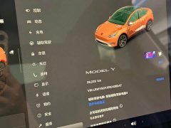 Tesla Model Y Rear-Wheel Drive - ფოტო 10