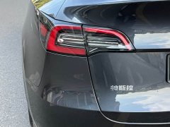 Tesla Model Y Rear-Wheel Drive - ფოტო 12