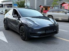 Tesla Model Y Rear-Wheel Drive - ფოტო 3