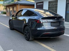 Tesla Model Y Rear-Wheel Drive - ფოტო 6
