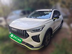 Haval Chitu Jingxiang Edition 1.5T Purple Copper Rabbit - ფოტო 1