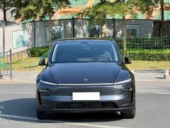 Tesla Model Y Rear-Wheel Drive Launch Edition - ფოტო 2