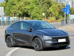 Tesla Model Y Rear-Wheel Drive Launch Edition - ფოტო 3