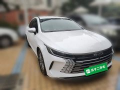 BYD Destroyer 05 2023 Champion Edition DM-i 55KM Luxury - ფოტო 3