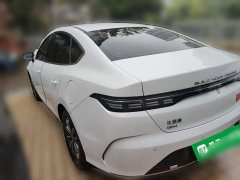 BYD Destroyer 05 2023 Champion Edition DM-i 55KM Luxury - ფოტო 4