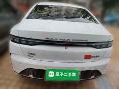 BYD Destroyer 05 2023 Champion Edition DM-i 55KM Luxury - ფოტო 5