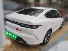 BYD Destroyer 05 2023 Champion Edition DM-i 55KM Luxury - ფოტო 6