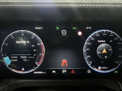 Tank 300 Off-Road Edition 2.0T Conqueror - ფოტო 15