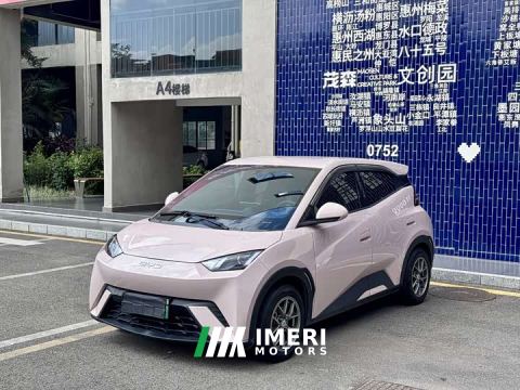 2023 BYD Seagull Vitality Edition