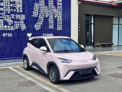 BYD Seagull Vitality Edition - ფოტო 3
