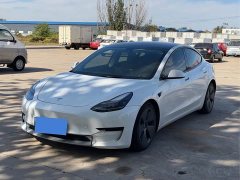 Tesla Model 3 Standard Range RWD Upgrade - ფოტო 1