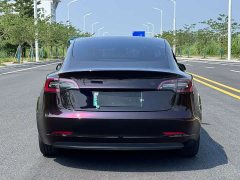 Tesla Model 3 Facelift Standard Range RWD Upgrade 3D1 - ფოტო 5