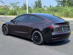 Tesla Model 3 Facelift Standard Range RWD Upgrade 3D1 - ფოტო 6