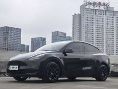 Tesla Model Y Standard Range RWD - ფოტო 1