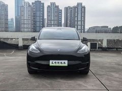 Tesla Model Y Standard Range RWD - ფოტო 2