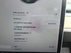 Tesla Model Y Standard Range RWD - ფოტო 8